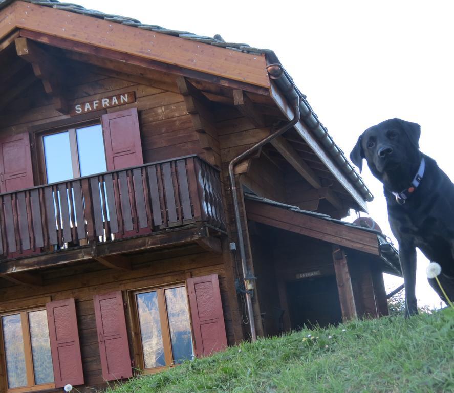 Chalet Safran Grächen Extérieur photo