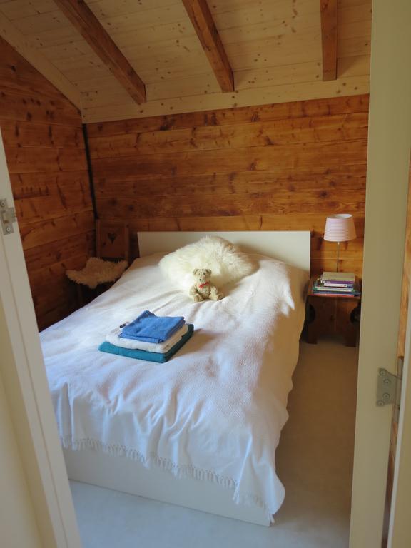 Chalet Safran Grächen Extérieur photo
